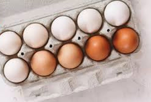 Eggs under scanner again: Science backs safety, nutrition amid fresh food scare