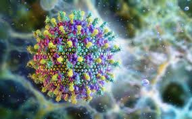 WHO confirms two Nipah cases in West Bengal; both healthcare workers